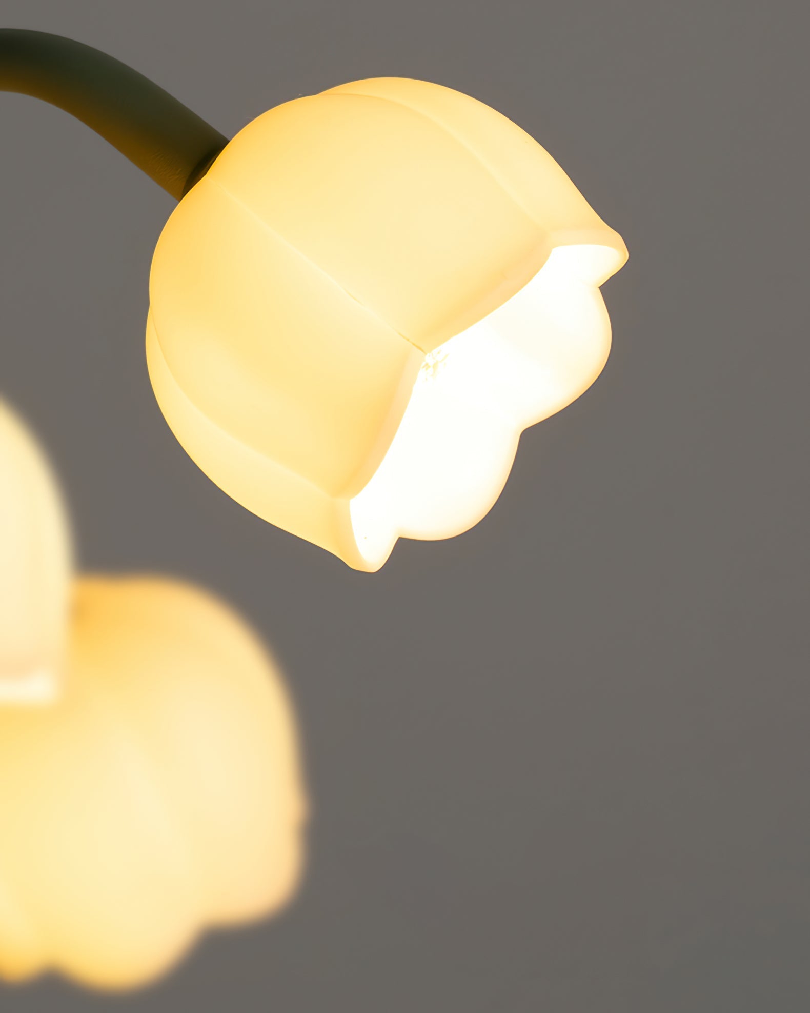 Tafellamp Orchidee – Elegante Bloemvormige Sfeerlamp Ø18 x H36 cm