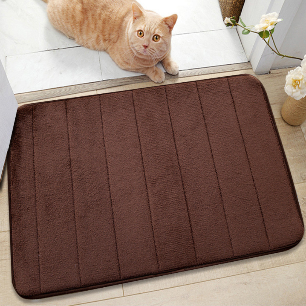 Badmat Absorberend Antislip – Zachte Sneldrogende Badkamermat